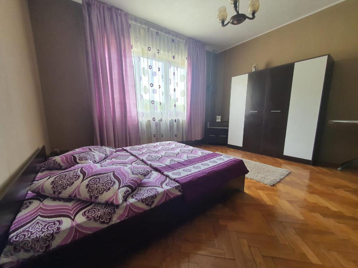 Pretty Garden Villa Orsova Ngoại thất bức ảnh