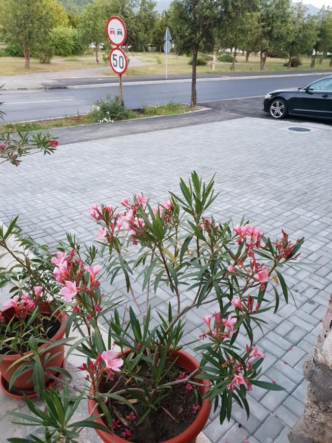 Pretty Garden Villa Orsova Ngoại thất bức ảnh